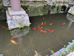 -大唐贡茶院