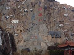 -西霞口神雕山野生动物世界