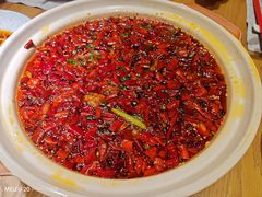 -莲·中餐厅(成都首座万豪酒店)