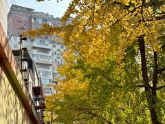 -罗妈砂锅(四川成都奎星楼店)