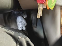 -易通行汽车陪练(通州店)