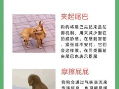 -宠福鑫动物医院(城北分院)