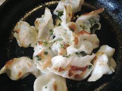 韭菜鸡蛋虾仁饺子-新兴园饺子馆(北京百子湾店)