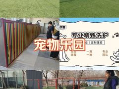 -宠物寄养训练学校