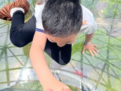 -黄海国家森林公园