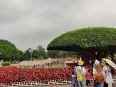 -南宁南湖公园