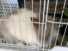 -小意思咖啡店(草桥店)