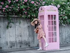 -丹东路渡口(轮渡站)