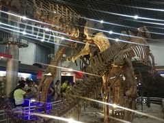 -国家自然博物馆