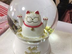 -猫音日语留学培训