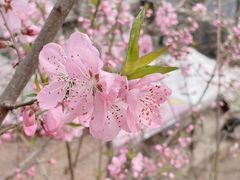-上方山云水洞