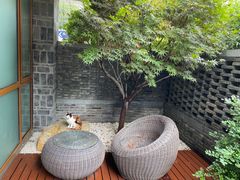 -南京夜泊秦淮君亭酒店·金陵书画院