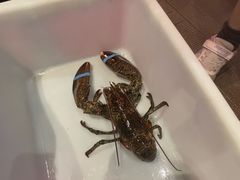 -鱼乐轩海鲜专门店