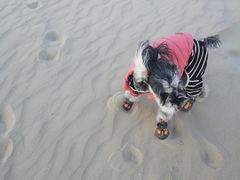 -库伦旗银沙湾旅游景区