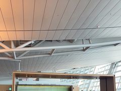 -首尔仁川机场ASIANA LOUNGE贵宾候机室(Incheon)