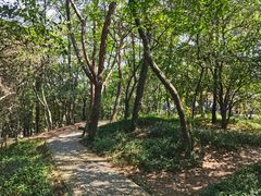 -虞山风景区