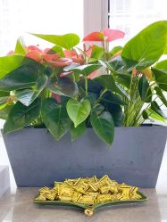 -变画·发型STUDIO