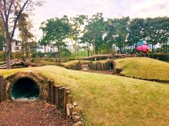 -田园东方蜜桃村的田野营地