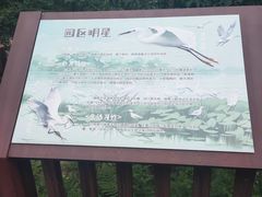 -广州市流溪河国家森林公园