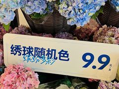 -盒马鲜生(岭南新世界店)
