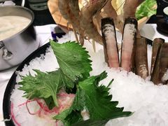 -红鼎豆捞·非遗鲍皇汤火锅(宝丰路店)