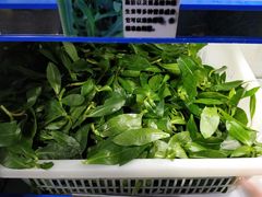 -黔府豆米火锅野菜馆(南马店)