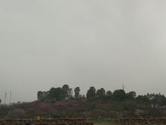 -秀丽东方