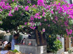 -海韵人家.海景花园经典云南菜(双廊店)