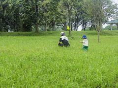 -福建鲤鱼洲酒店