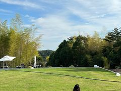 -冶父山国家森林公园