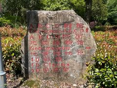 -金钉子远古世界景区