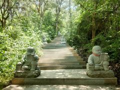 -云顶山风景区