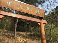 -龙寺生态园