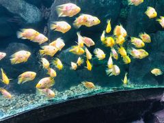 -苏州海洋馆