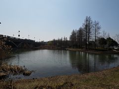 -长广溪湿地公园