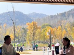 -千年银杏谷文化旅游区