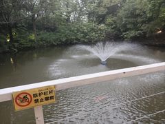 -芭厘农庄老字号·清远鸡