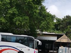 -Green Tree Rest. & Pub