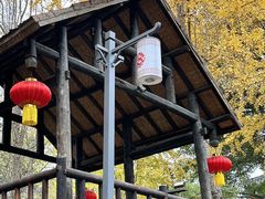 -黄龙溪古镇