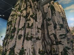 -房山世界地质公园博物馆