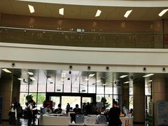 -深圳大学总医院