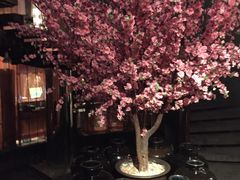 -金源温泉休闲会馆