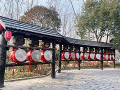 -合肥滨湖国家森林公园