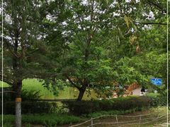 -云岗森林公园