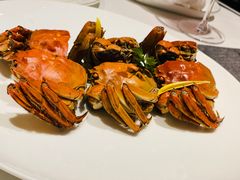 -甄御•海鲜新青岛菜(麦岛店)