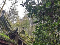 -缙云山景区