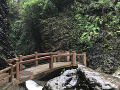 -华蓥山天意谷景区