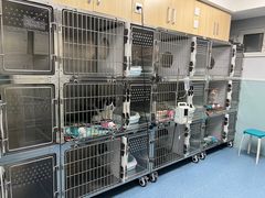 -中农大我爱我爱24h动物医院·中医针灸·猫专科·骨科医疗中心(双井店)