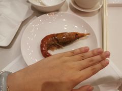 -香乐园·淮扬菜中餐厅·Shang Garden(福田香格里拉店)