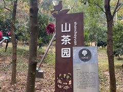 -中山市树木园